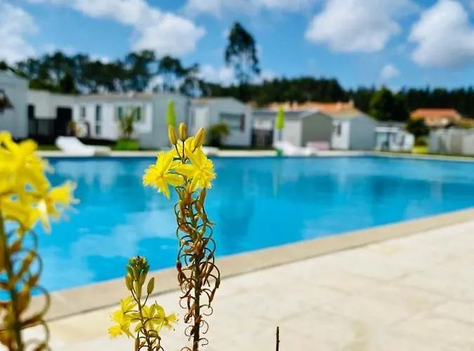 4x3 منتزه العطل *