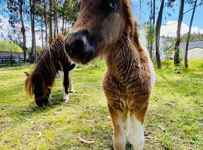 منتزه العطل 4x3 Burinhosa